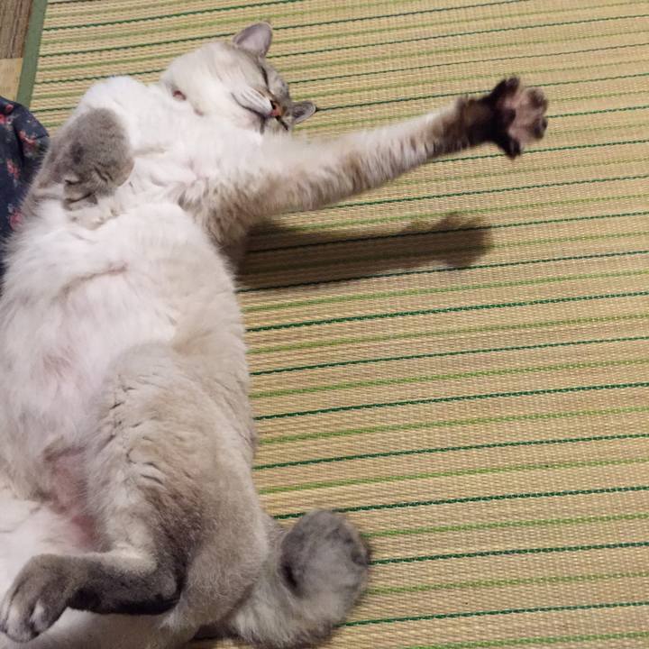 29cd938a 73a5 4285 974c 1f7693a05407 1536925194856