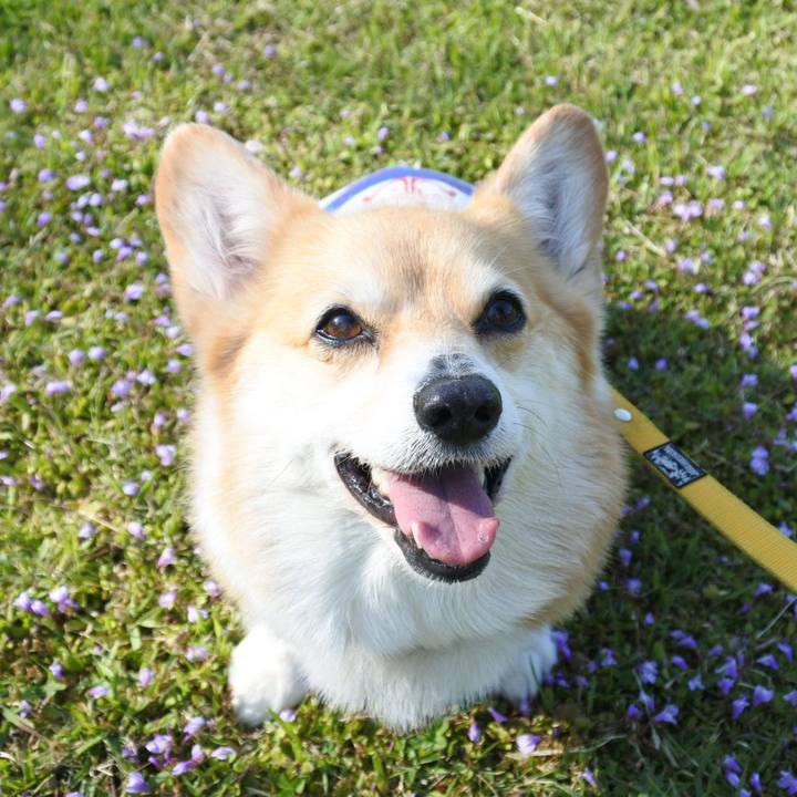 29cdc188 fb84 4cde 9b14 c2f62beabc6b 1682830855950