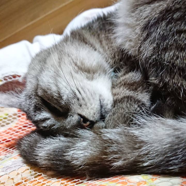 29cdc97a d5e8 4713 b521 ced995a240c1 1570108068148