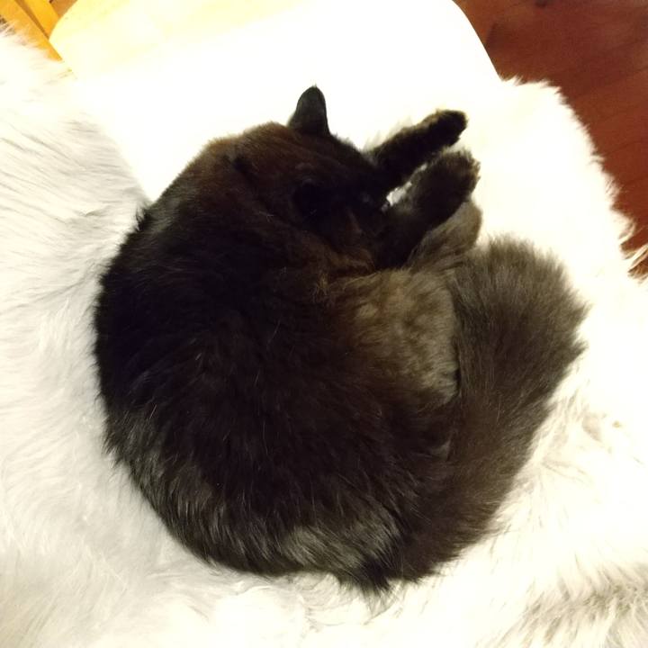 29cdd81c e8ba 4911 8e43 3c7507b9c8f5 1613381855778