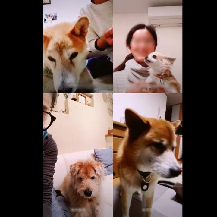 29cde572 6ff1 40ed adea 67c1d880c5c9 1587075081026