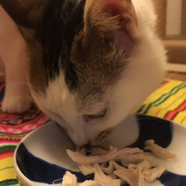 29cde5d0 ccc1 4a92 b71d b53a4faaea19 1527515041063