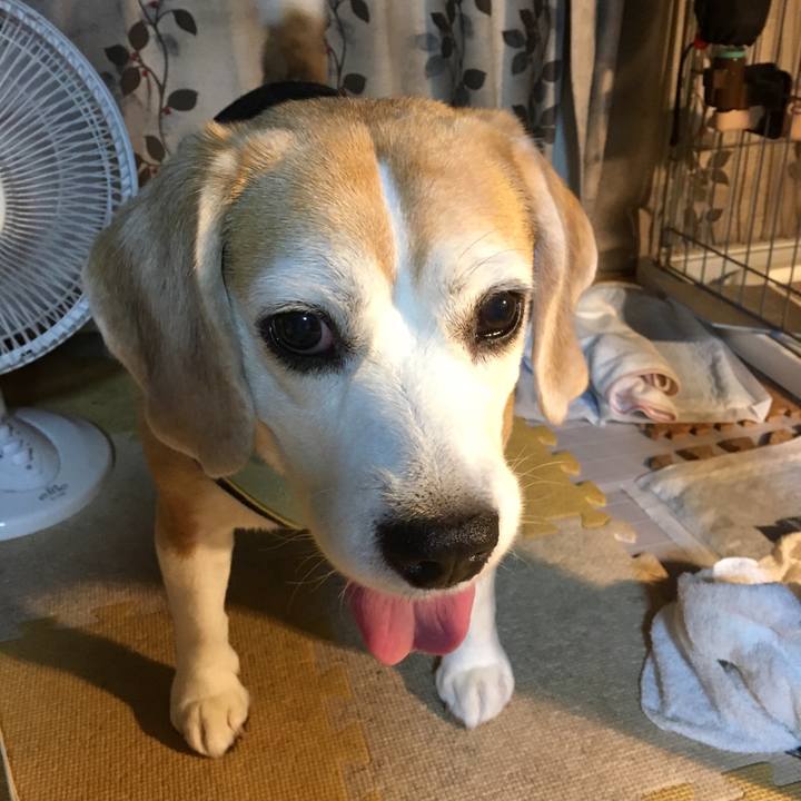 29cdf5e7 ea0a 4325 bbdc 45b0632bff23 1535244002077