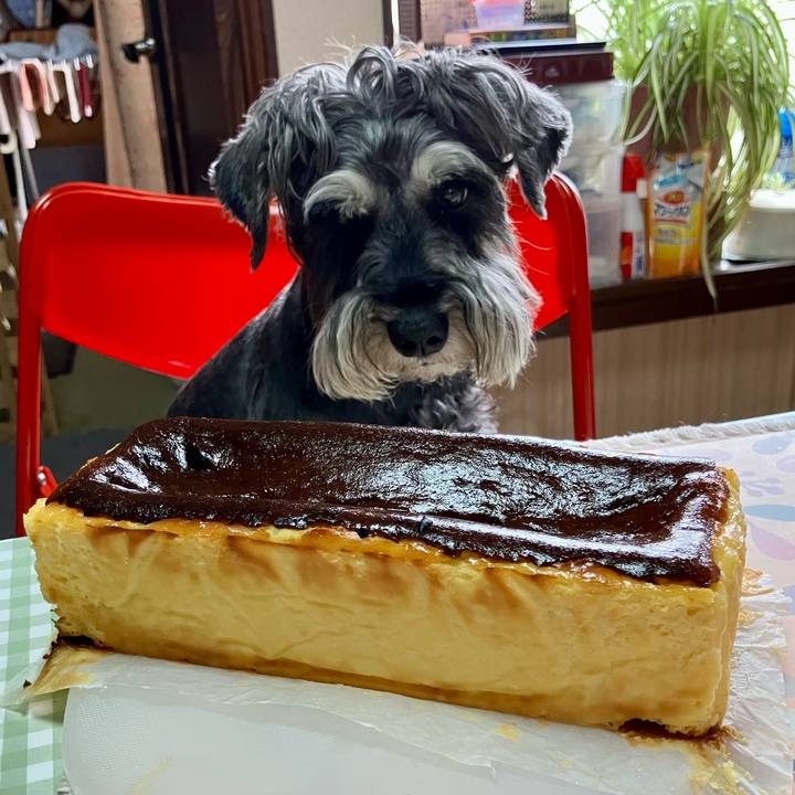 29ce1044 23c3 4579 a508 d5f6d9d6a422 1723468618109