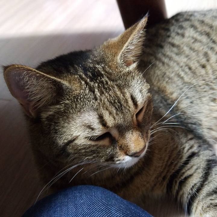 29ce22df 31d8 4e1e 8b35 3da64a82b17a 1576792029363