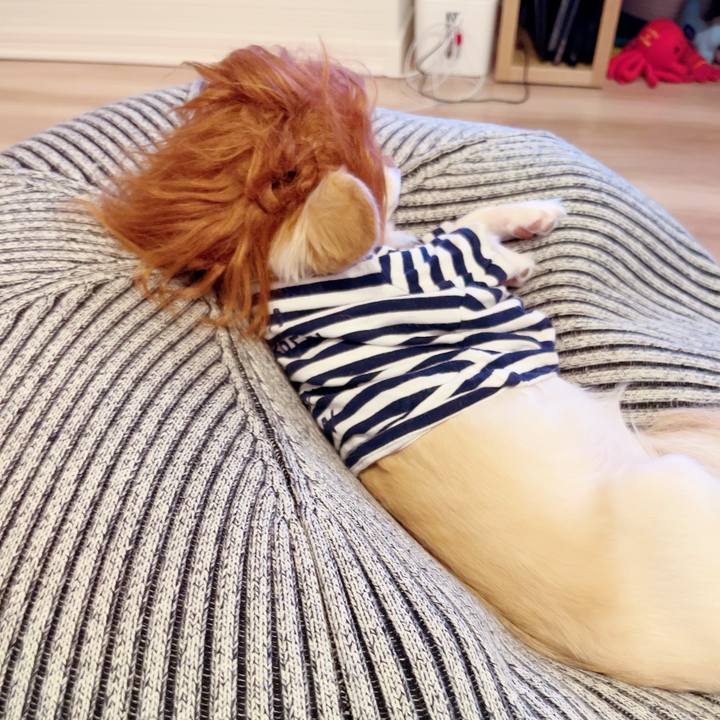 29ce2779 9930 4e5a 9876 cdc57bee5cf8 1695295887151