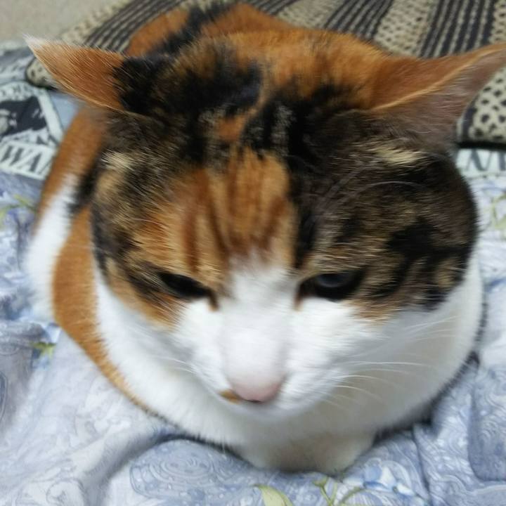 29ce27dc 5d68 4703 a922 562b258db2ee 1544997005145