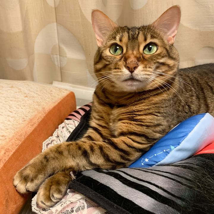 29ce419e b430 4ef7 8608 f26c899b59b5 1621380946234