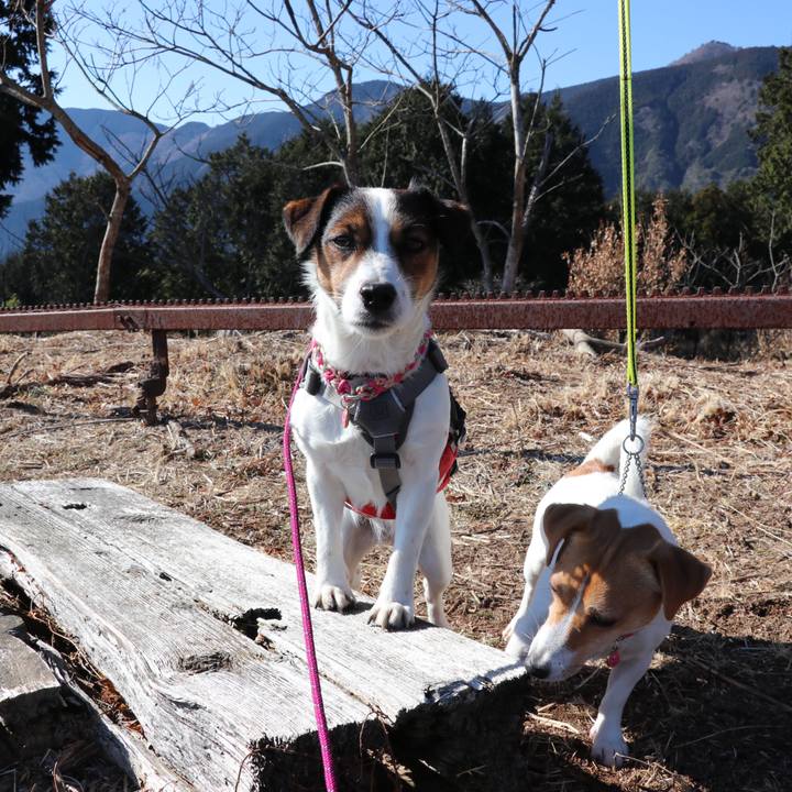 29ce46a5 45c0 4990 8727 a92261bf4e57 1515222345444