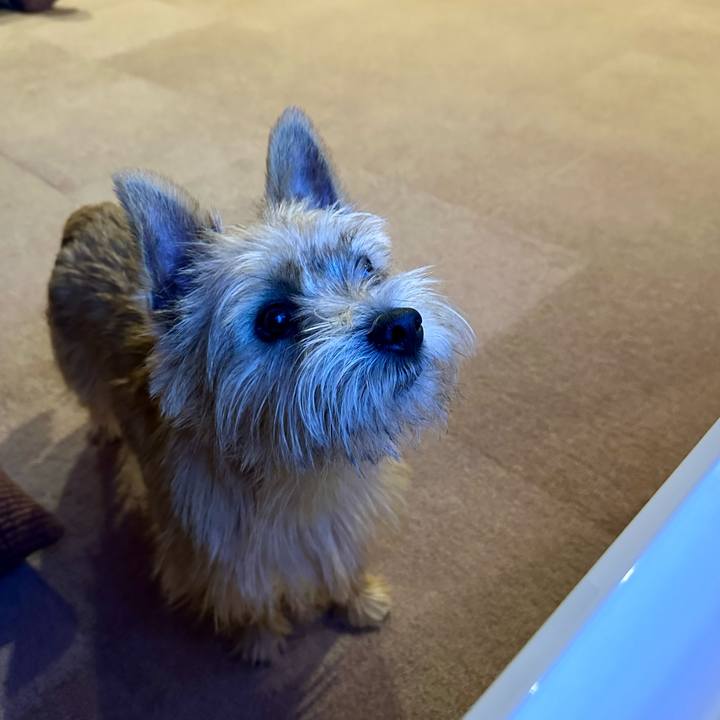 29ce6e2c 6f81 42e5 a9fa b8b50d9fb29e 1732374560424