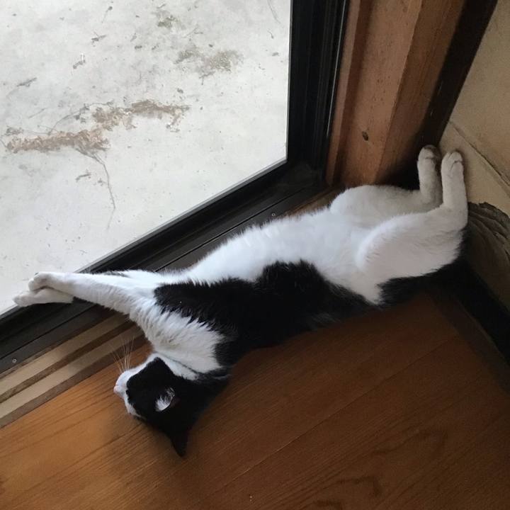 29ce8416 7119 42a8 b09f e900cc799e6b 1756025725538