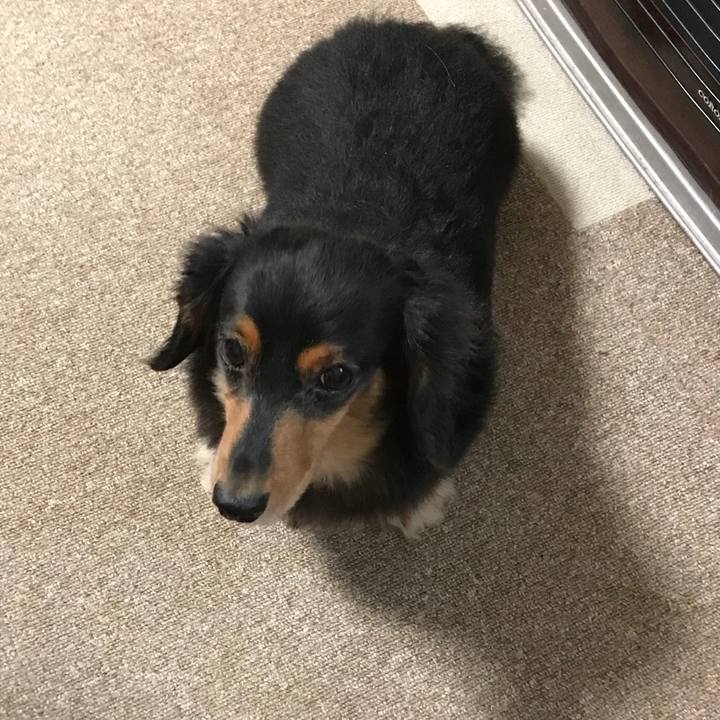 29ce9068 3cfb 4200 b8b2 c7b045431289 1537826384996