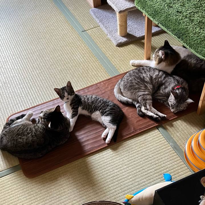 29cedcf6 9ea2 422b 8cc1 8ffffcaa77ee 1768182353163