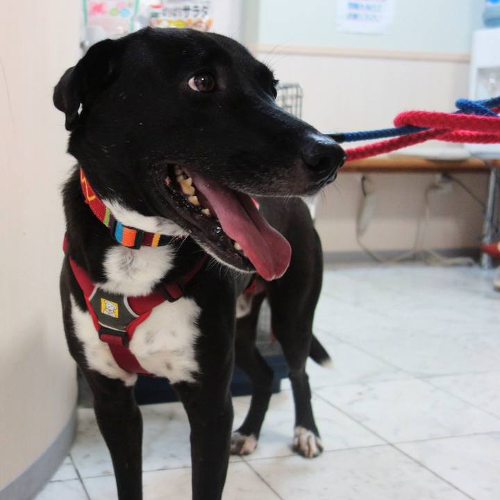 29cf0049 a296 4300 a50b d41bd2111802 1601376646689