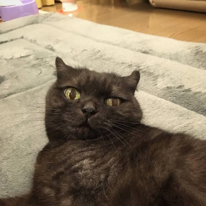 29cf22c9 67a6 4d5b 92f1 c3df91bdcd9b 1568045947030