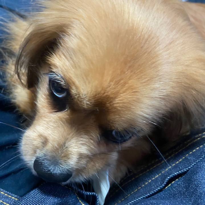 29cf6a9e 9c30 48dc b6f9 71a3961188fc 1628813858096