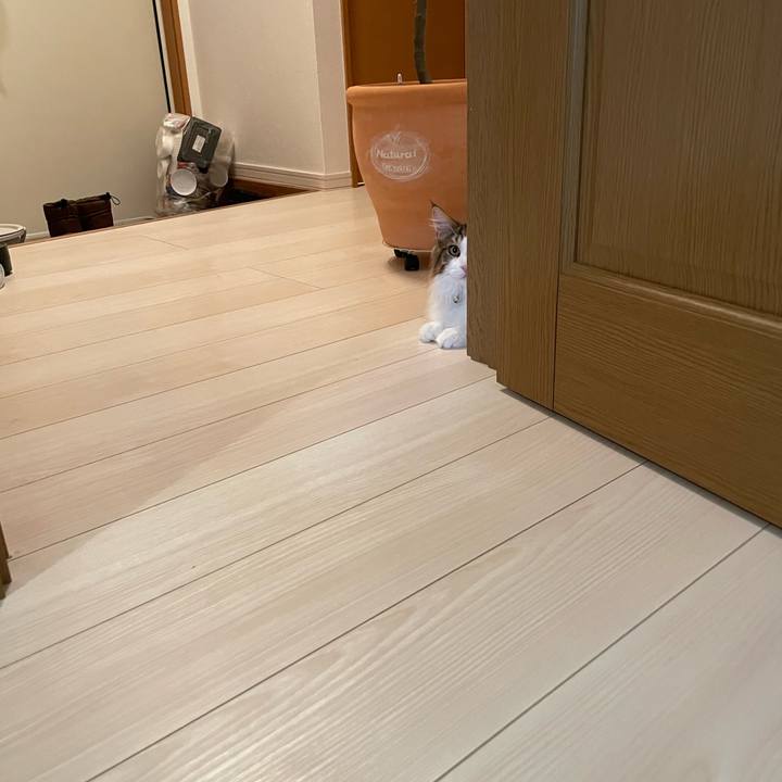 29cffe8e 7714 46ef af9f c2b5a1f1f1f8 1641938529132