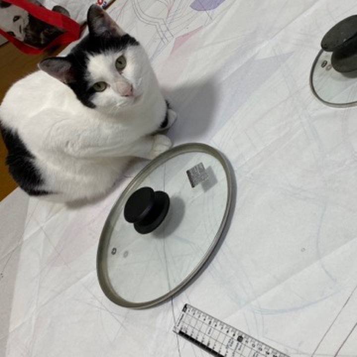 29d0438e 715d 48c7 990e bf3c807540a8 1687439484435