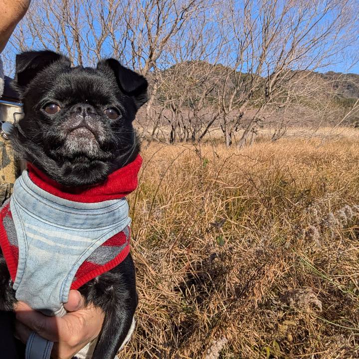 29d0453d 68bb 4cd1 b203 61f42a86e507 1768227848674