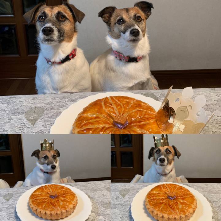 29d08bbc 68c6 44da b217 d046989c9a8b 1641297727470