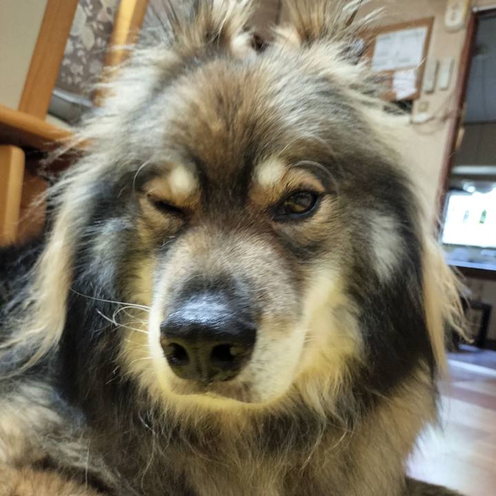 29d0947f fce8 44e1 9fbe c46bb541c366 1691841802236