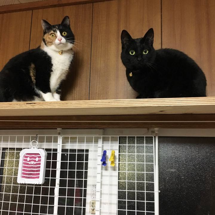 29d09504 1807 441e b881 3808c074fc83 1511695985796