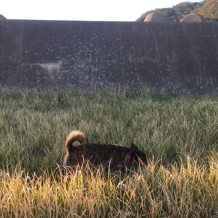 29d11437 a556 45af 8300 880aabd5a31d 1541516288476