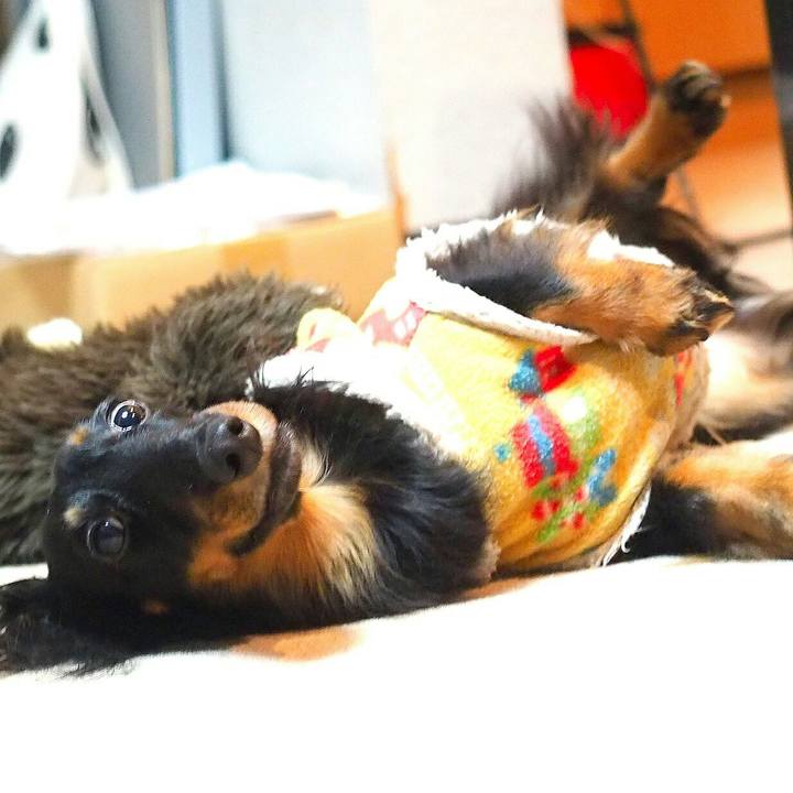 29d17d42 b8d4 481d 9bc9 43ef8db58e08 1514252687467