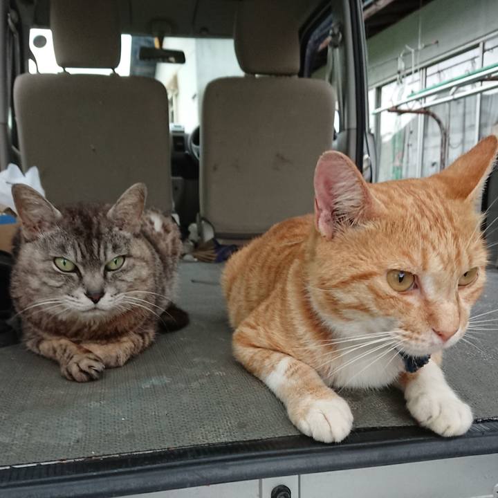 29d1a046 46a9 4631 8270 21c30d47308f 1563613750376