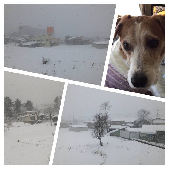 29d24f89 4754 4717 88d0 4c55561d2aad 1513469070687