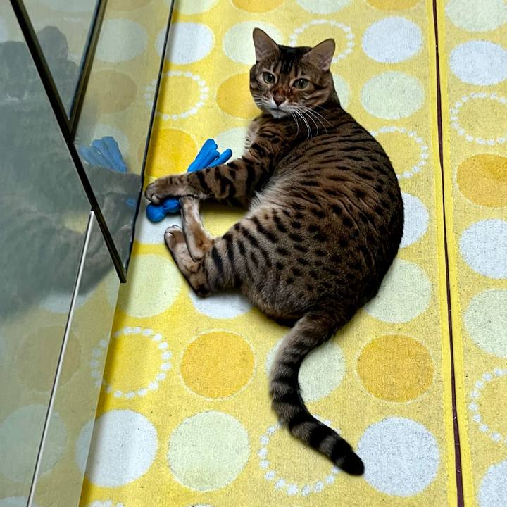 29d27b86 ad18 47e8 907e 9d35db99448d 1669864173975