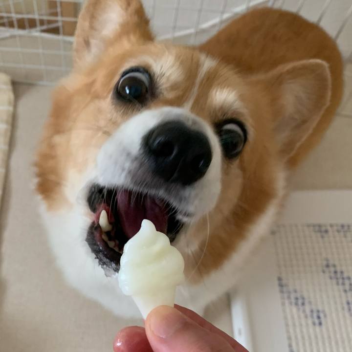 29d2b339 decc 4167 b3db 690023ef6bd7 1718158431485