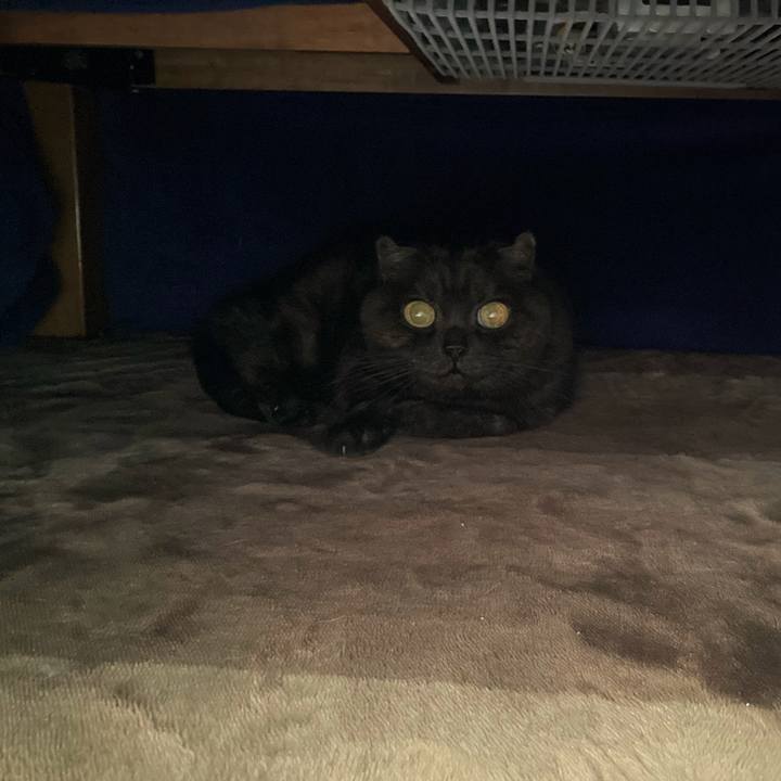 29d2e46a e460 4bf8 bb50 460df8446298 1612506726059