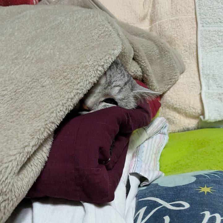 29d323b8 8b56 4654 ac56 2467ce692285 1741526590007