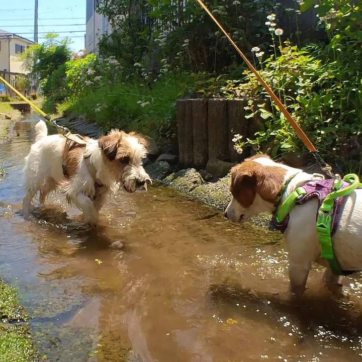 29d366e4 16d4 4099 911c 68c616d4a23c 1683196284174