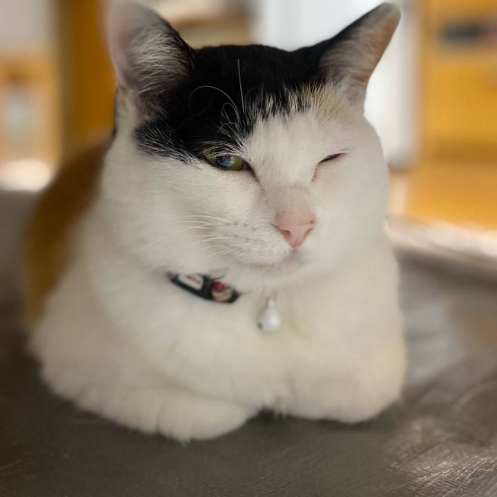 29d366e5 e914 48d4 b792 05aeca1709d9 1652994445907