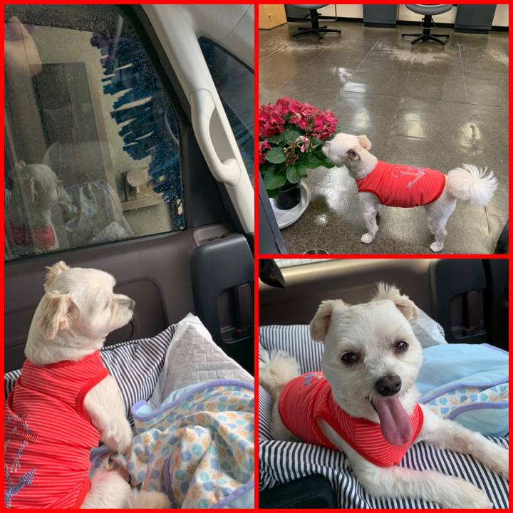 29d389d7 eb8c 45c5 8b8c f94189d4b4a5 1591269307830