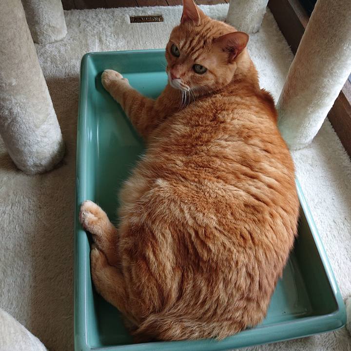 29d3ae5e 9834 4863 a56e b10f9b941e09 1627013151447