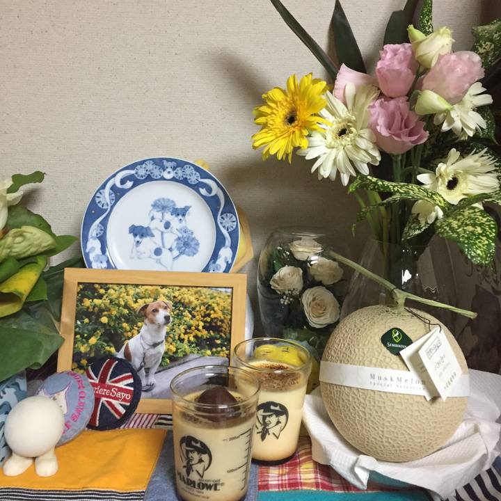 29d3cc58 c9bb 4f97 9981 a512ee23dd6f 1508246119088