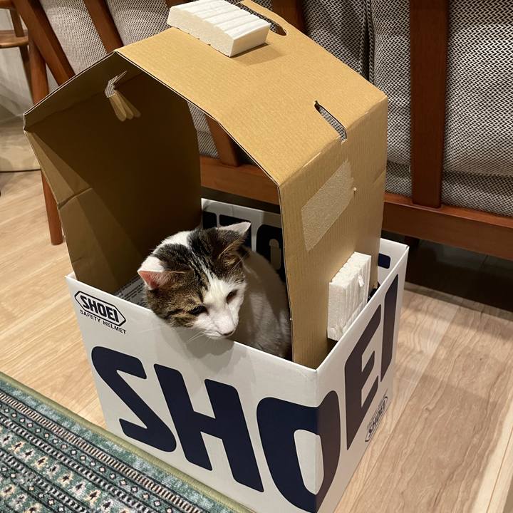 29d3df46 c71f 419a bcef 4c72425f8f8a 1760185002374