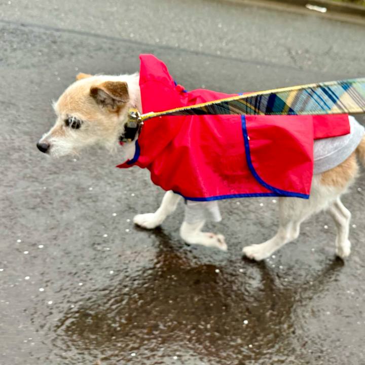 29d45191 9f82 4912 8ea0 2f767a2bc5e2 1711667743170