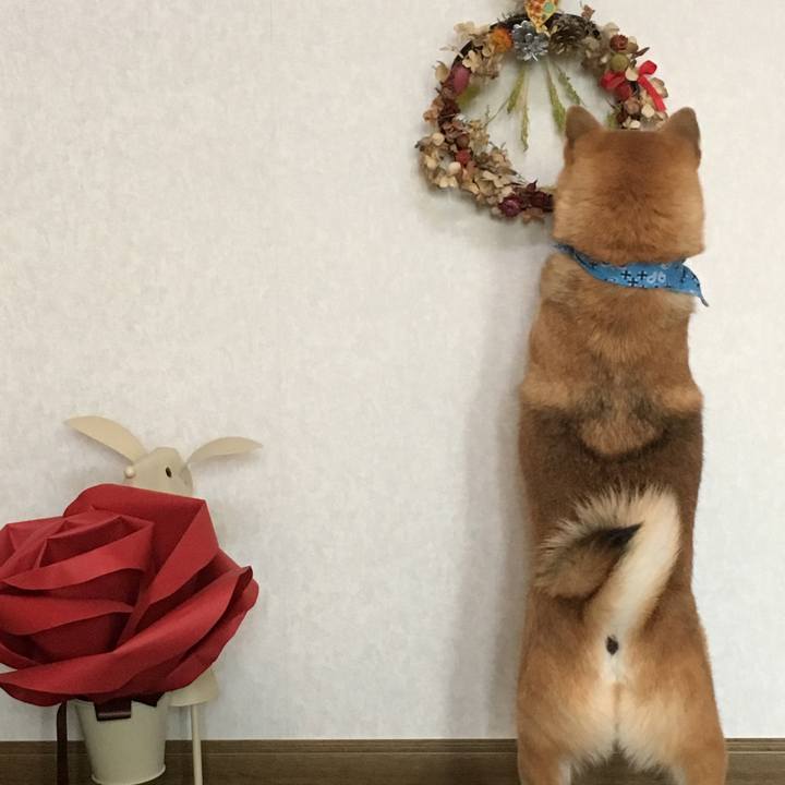 29d487e5 f9d1 4b9c 9983 74e115552fec 1512906521035