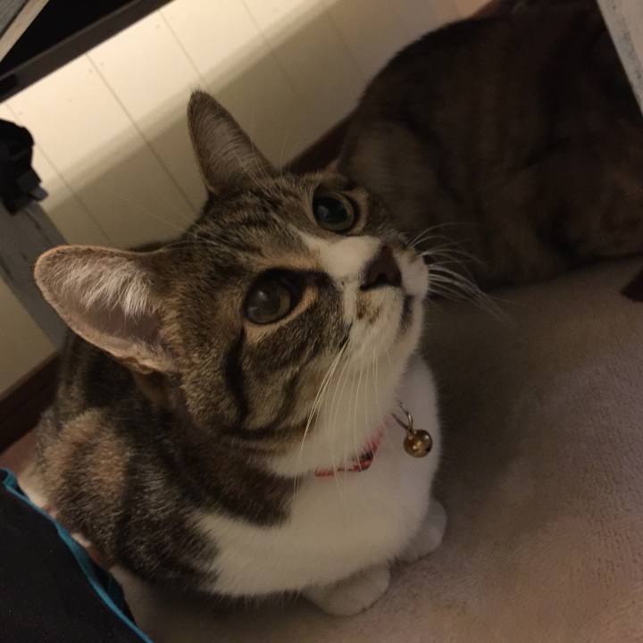 29d4c964 aab4 4010 bf4a e2293231ec54 1554045148103