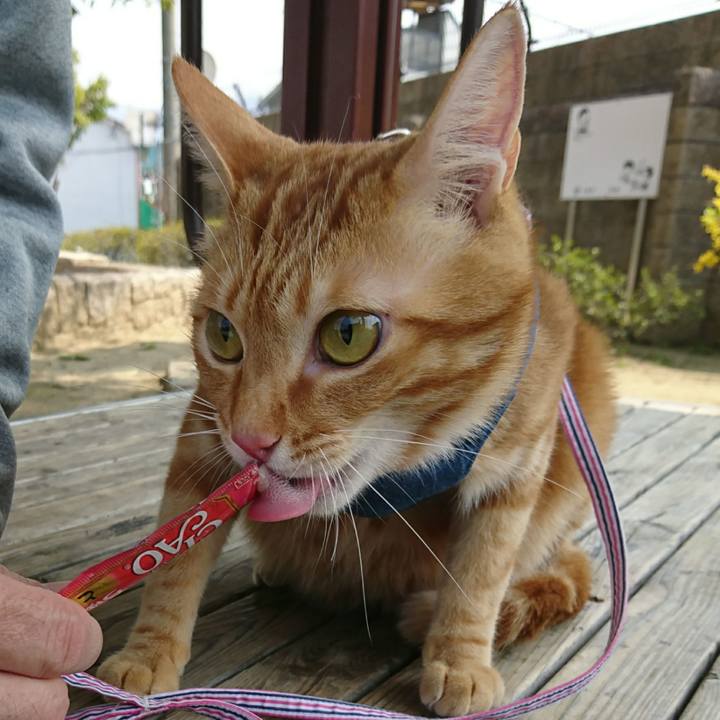 29d4d991 417b 4f27 9a57 fe53256d0d97 1521952471447