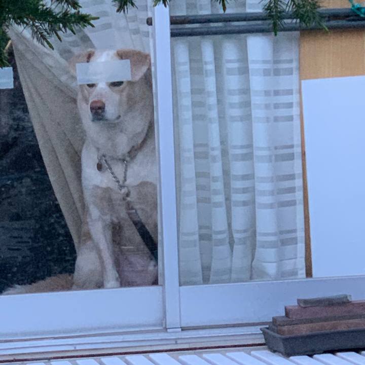 29d535ee ccaa 46f6 999a e347dafeadd8 1554469504220