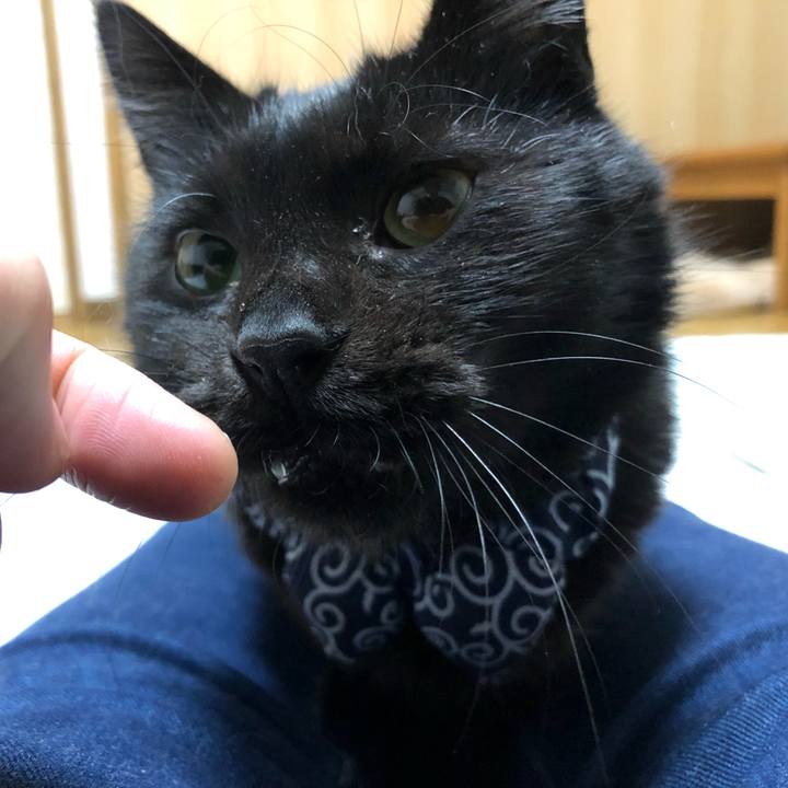 29d54303 cf44 41af bc1a dc6bc84031bf 1578662164518