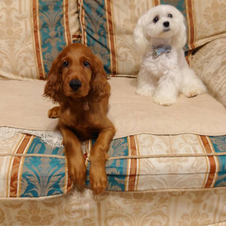 29d5b851 f88c 4bb1 aa8a cece76afc5e3 1629174080260