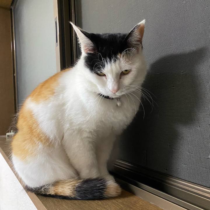 29d606ec 31ff 40ae b5a0 4617e711ebb4 1650800408379