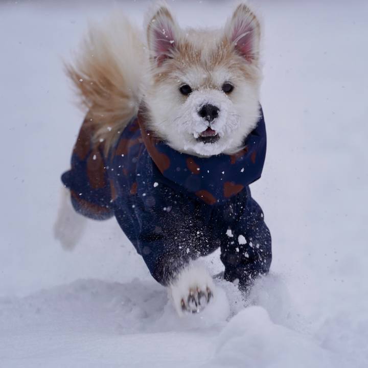 29d63976 42de 4359 8860 9f090480ab65 1767256235696