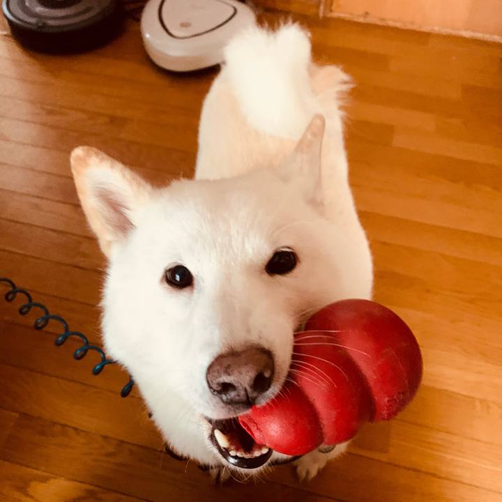 29d63ecf 4e54 4448 91c3 07a2c0694d12 1670133448027